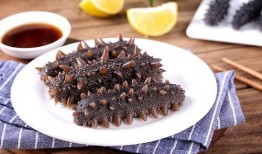 烟台海参爆料最新消息,揭秘市场新风向与品质升级